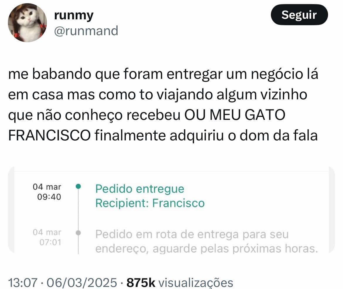 Se seu gato receber um pacote, corra: ele já sabe demais