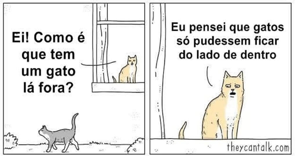 Gato descobre a verdade e entra em parafuso – Teorias de conspiração felina Gato descobre a verdade e entra em parafuso – Teorias de conspiração felina