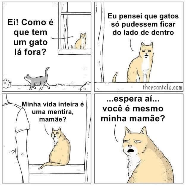 Gato descobre a verdade e entra em parafuso – Teorias de conspiração felina