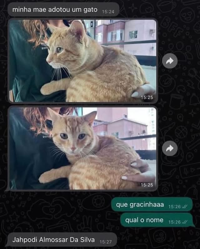 O gato que há vem com nome, RG e Hora do almoço marcada