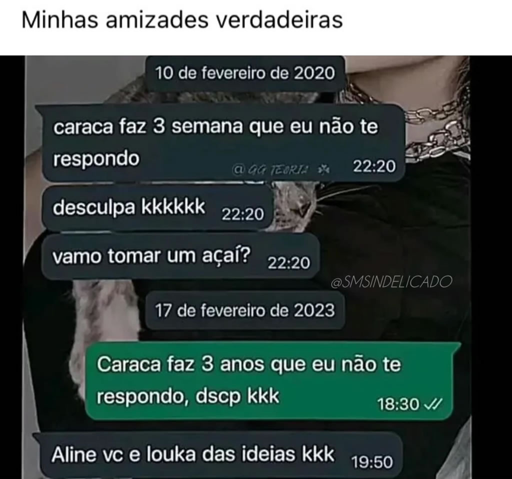 Amizade raiz: a conversa dorme, mas nunca morre Amizade raiz: a conversa dorme, mas nunca morre