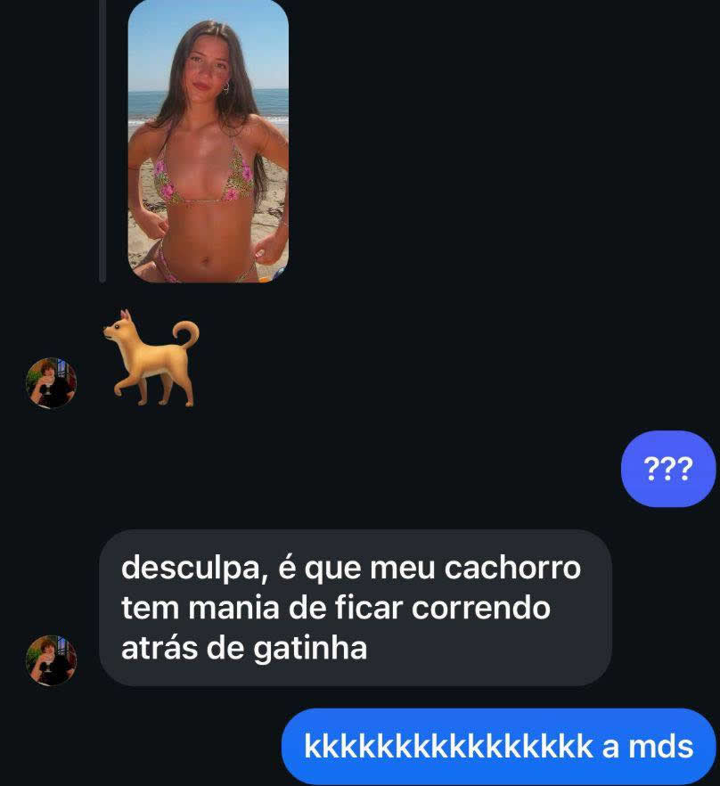 Cantadas Caninas: Quando até o cachorro entra na paquera