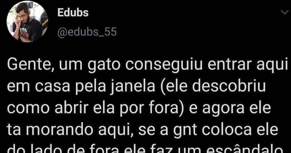 Invasão felina: Quando o gato te adota à força e vira dono da casa Invasão felina: Quando o gato te adota à força e vira dono da casa