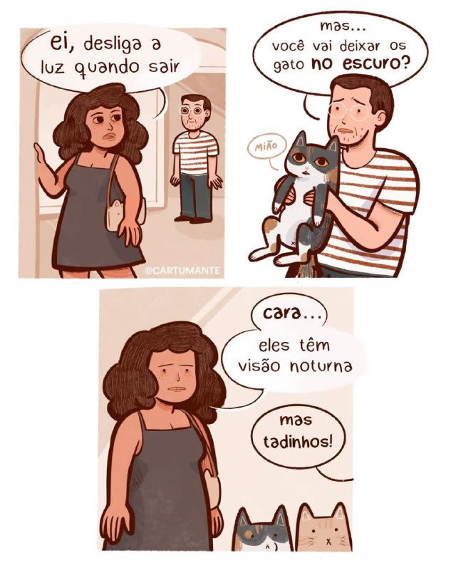 Luz, Gato e Afeição Brasileira