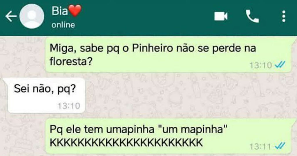 Quando o pinheiro se localiza, mas o cérebro da Bia não: a saga do “umapinha” Quando o pinheiro se localiza, mas o cérebro da Bia não: a saga do “umapinha”