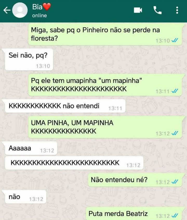 Quando o pinheiro se localiza, mas o cérebro da Bia não: a saga do “umapinha” Quando o pinheiro se localiza, mas o cérebro da Bia não: a saga do “umapinha”