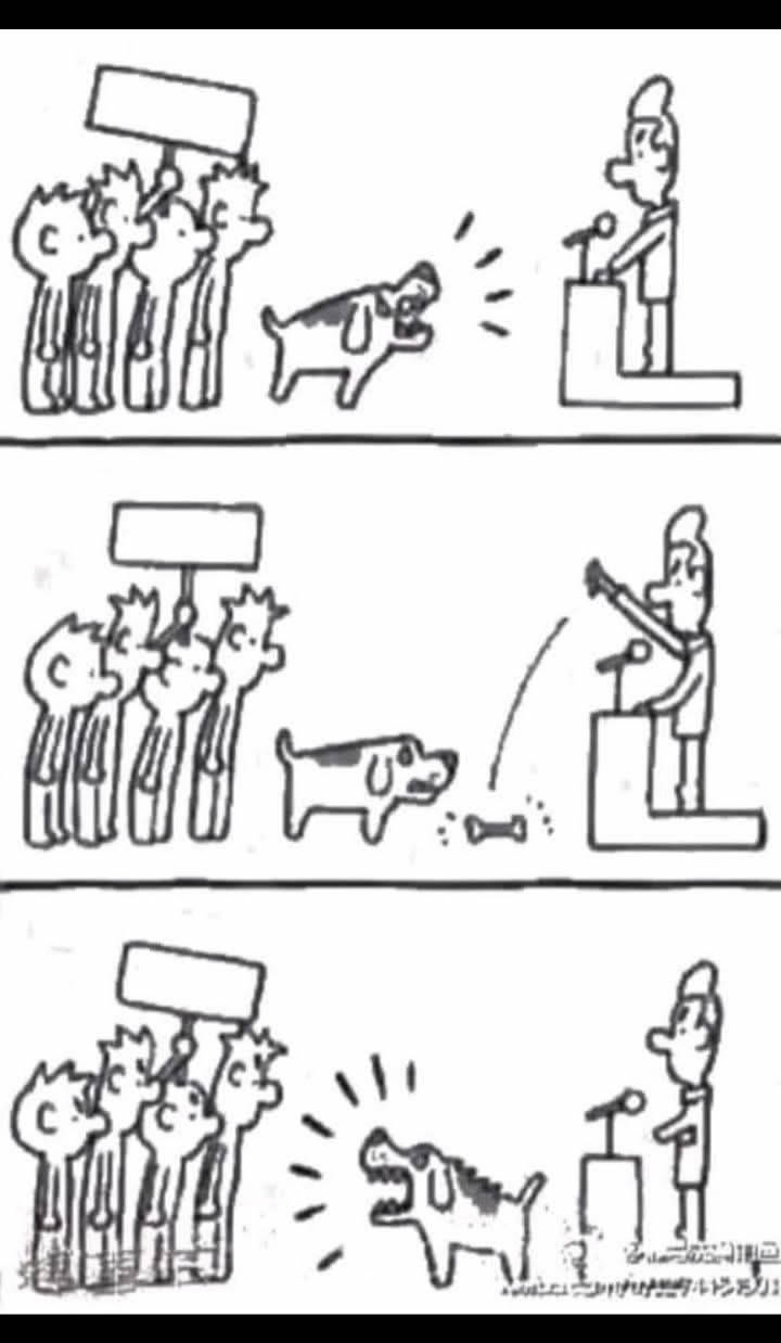 Como calar a oposição com um simples osso Como calar a oposição com um simples osso