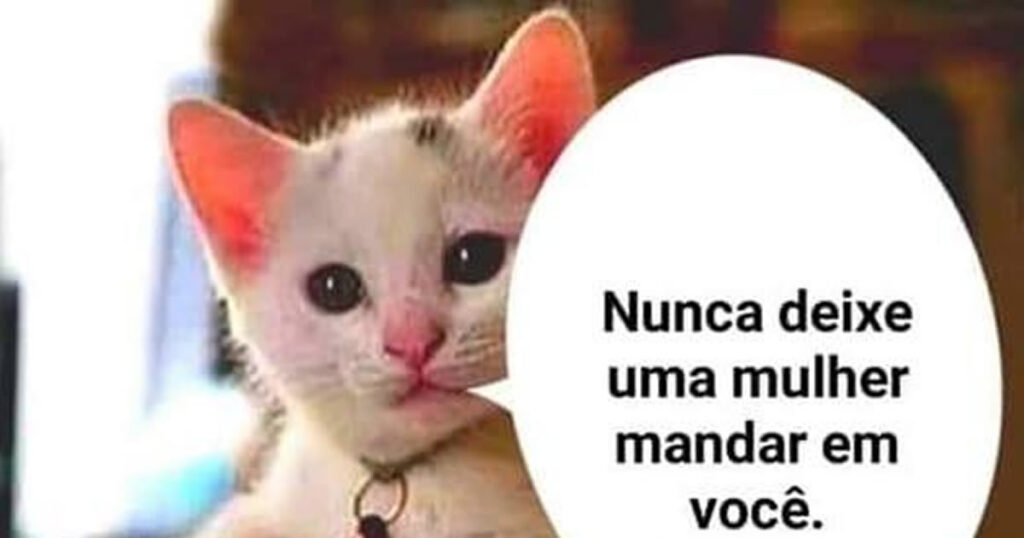 Manual da sobrevivência: como ser mandado sem ser mandado