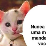 Manual da sobrevivência: como ser mandado sem ser mandado