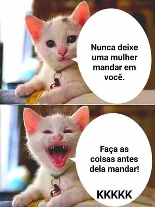 Manual da sobrevivência: como ser mandado sem ser mandado Manual da sobrevivência: como ser mandado sem ser mandado