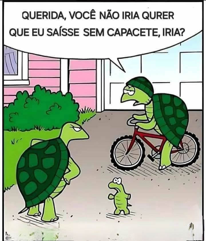 Manual da tartaruga casada: criatividade é o melhor escudo! Manual da tartaruga casada: criatividade é o melhor escudo!