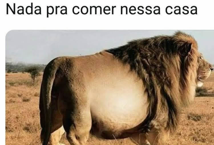 Não tem nada pra comer, só o básico de um rodízio Não tem nada pra comer, só o básico de um rodízio