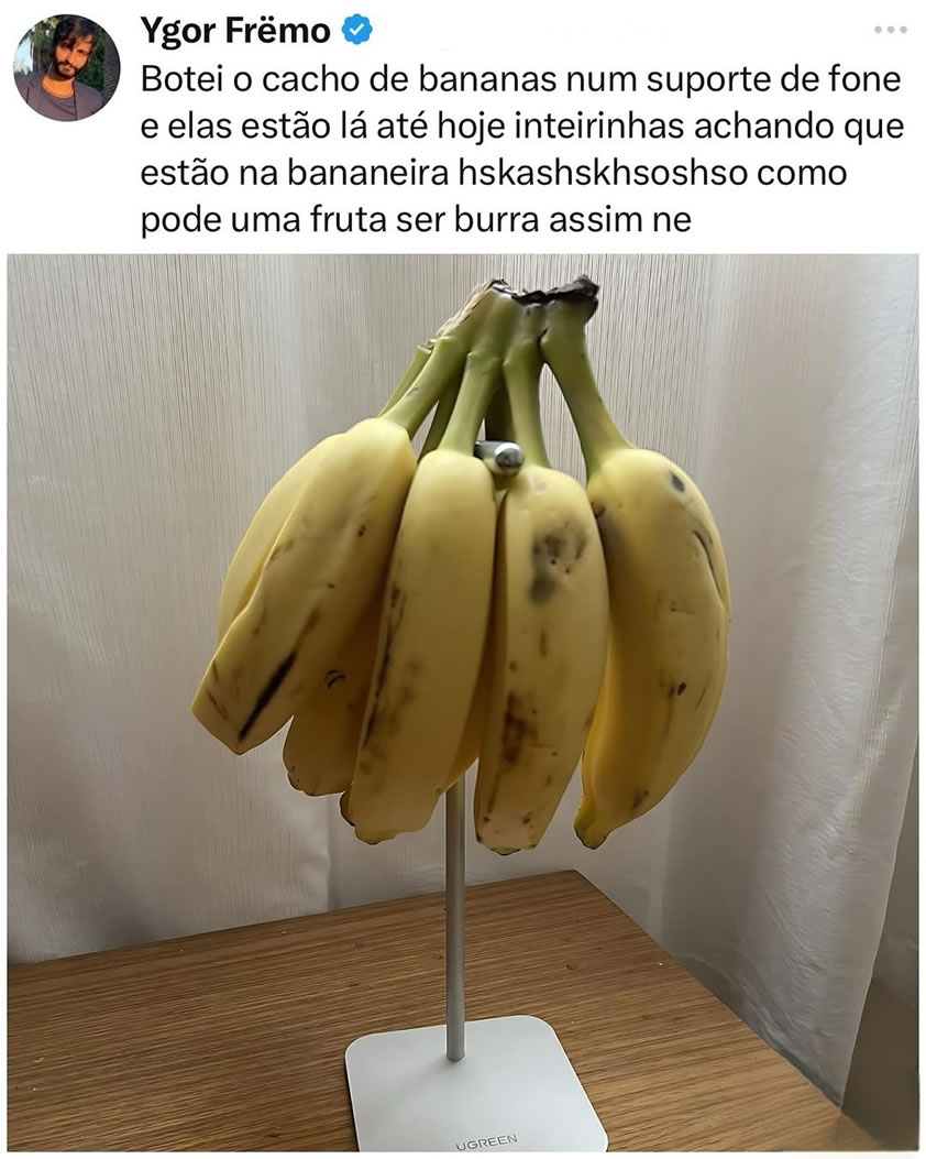 Bananeira fake: como enganar uma fruta e atrasar a velhice com sucesso!