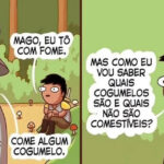 Cogumelos: ou você ganha XP… ou vira saudade