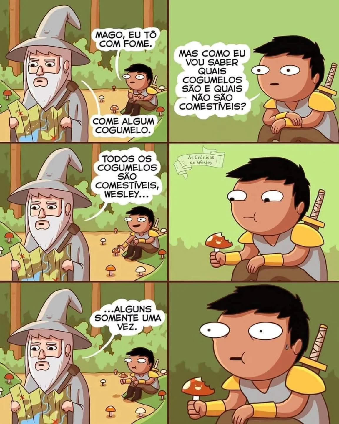 Cogumelos: ou você ganha XP… ou vira saudade Cogumelos: ou você ganha XP… ou vira saudade