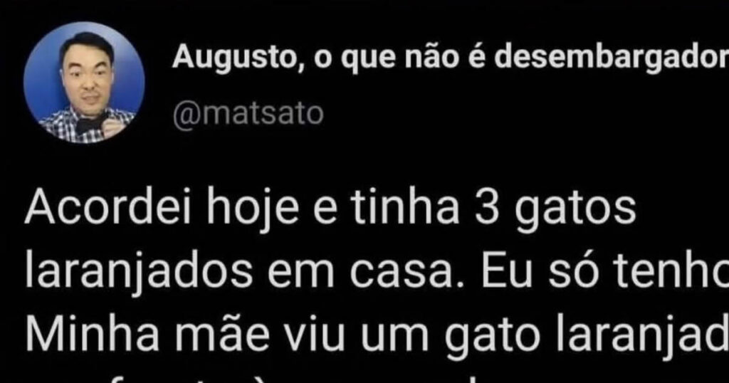 Minha mãe ativou o modo “recolhe gato automático” e agora temos um bônus!