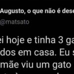 Minha mãe ativou o modo “recolhe gato automático” e agora temos um bônus!