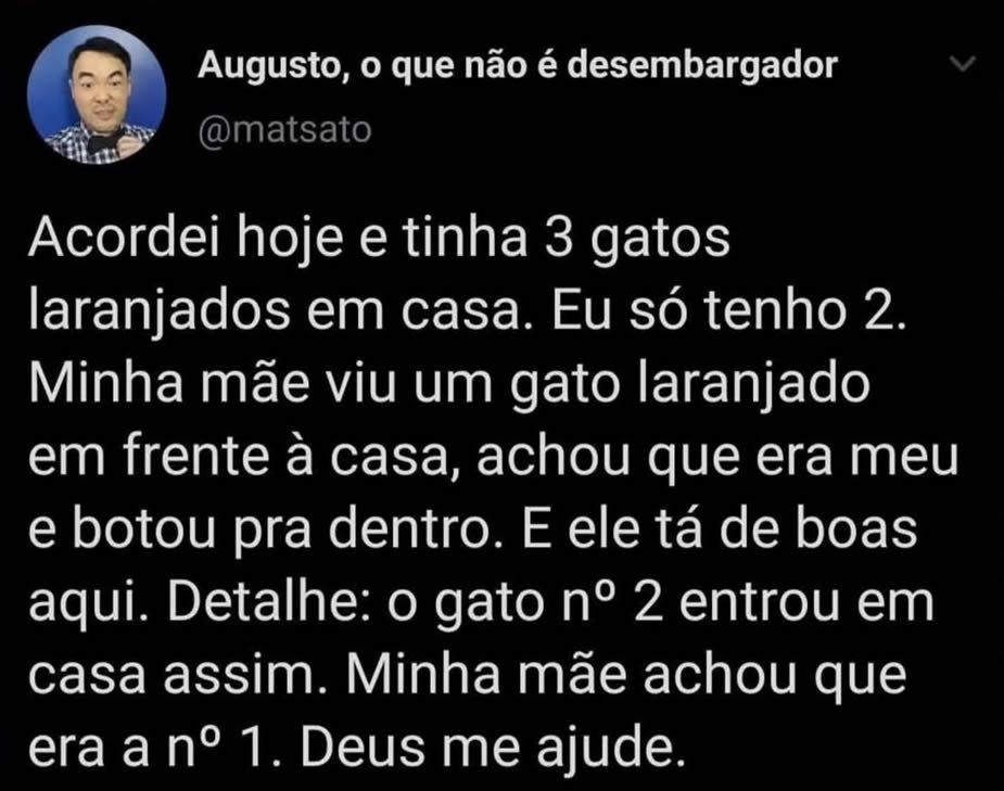 Minha mãe ativou o modo “recolhe gato automático” e agora temos um bônus! Minha mãe ativou o modo “recolhe gato automático” e agora temos um bônus!