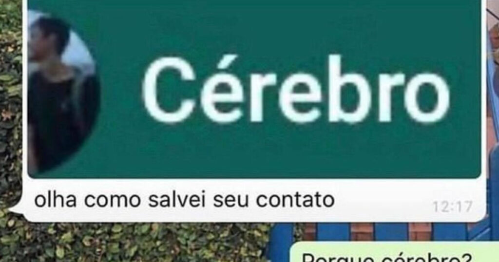 Salvei como Cérebro: a arte da cantada com diploma de anatomia! Salvei como Cérebro: a arte da cantada com diploma de anatomia!