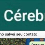 Salvei como Cérebro: a arte da cantada com diploma de anatomia!