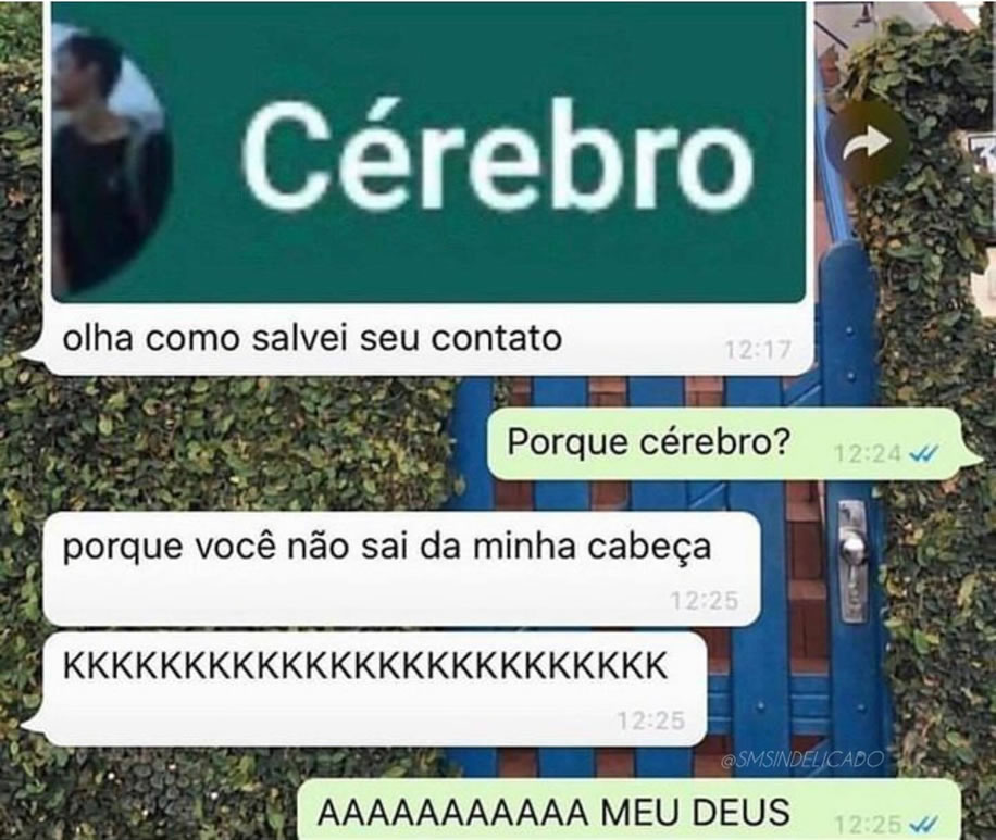 Salvei como Cérebro: a arte da cantada com diploma de anatomia! Salvei como Cérebro: a arte da cantada com diploma de anatomia!