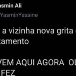 ALICE! BRENO! — A novela felina que passa todo dia no meu andar