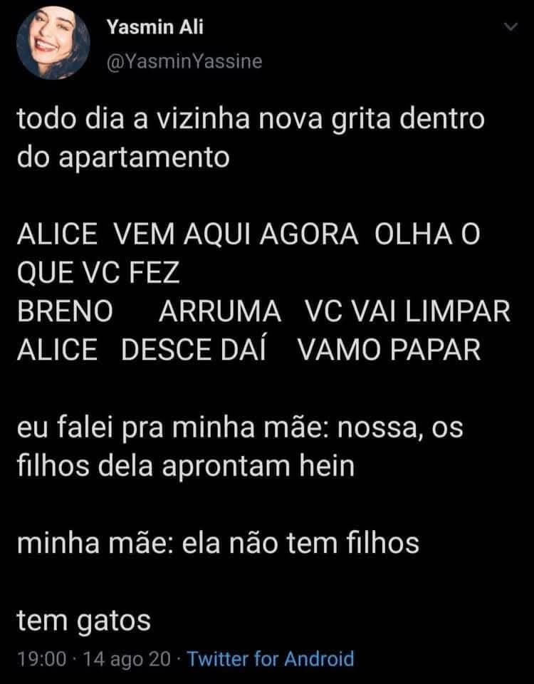 ALICE! BRENO! — A novela felina que passa todo dia no meu andar ALICE! BRENO! — A novela felina que passa todo dia no meu andar