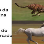 Corrida da vida real: Preços disparam, salário engatinha