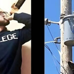 João pensa, José desliga: a treta eterna entre teoria e prática