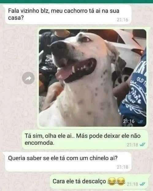 O dia em que o cachorro foi acusado injustamente de roubar o chinelo O dia em que o cachorro foi acusado injustamente de roubar o chinelo