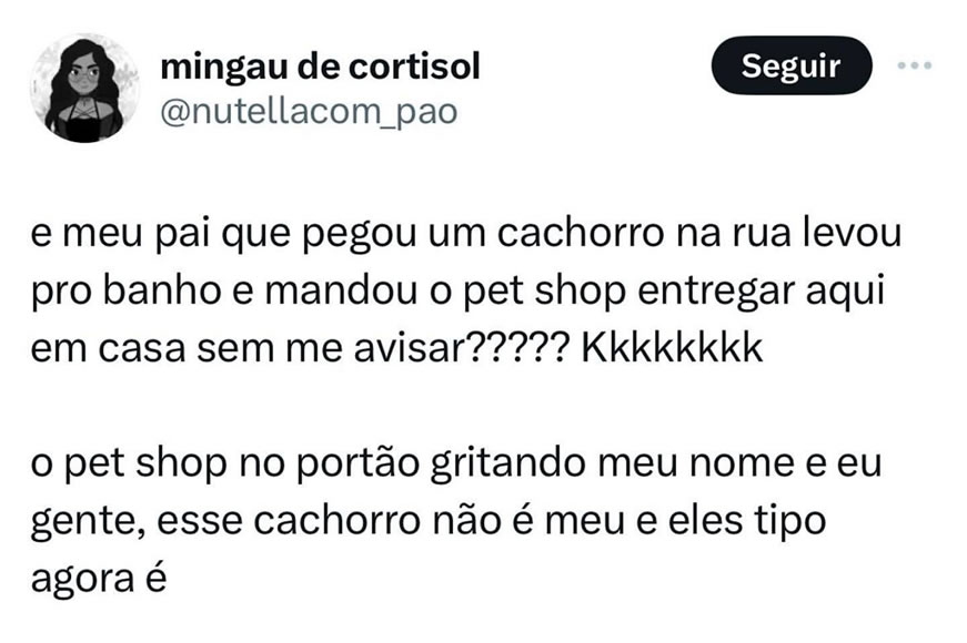 Pet Shop Delivery – Como adotar um cachorro sem perceber Pet Shop Delivery – Como adotar um cachorro sem perceber
