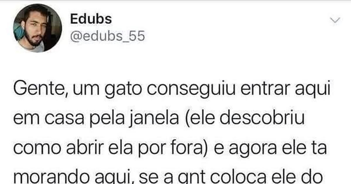 Gato invade casa, impõe moradia e vira o novo dono — golpe felino bem-sucedido!