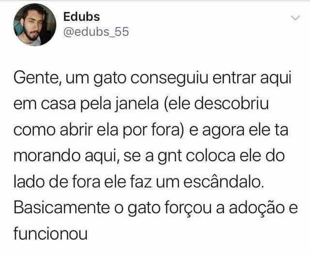 Gato invade casa, impõe moradia e vira o novo dono — golpe felino bem-sucedido!