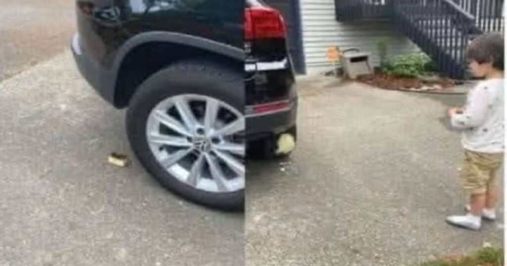 O dia em que a manteiga virou vítima do método científico O dia em que a manteiga virou vítima do método científico