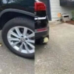 O dia em que a manteiga virou vítima do método científico