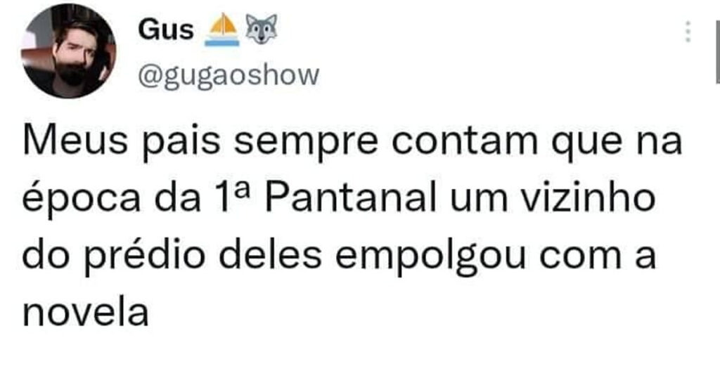 O vizinho do berrante: quando Pantanal virou experiência 4D