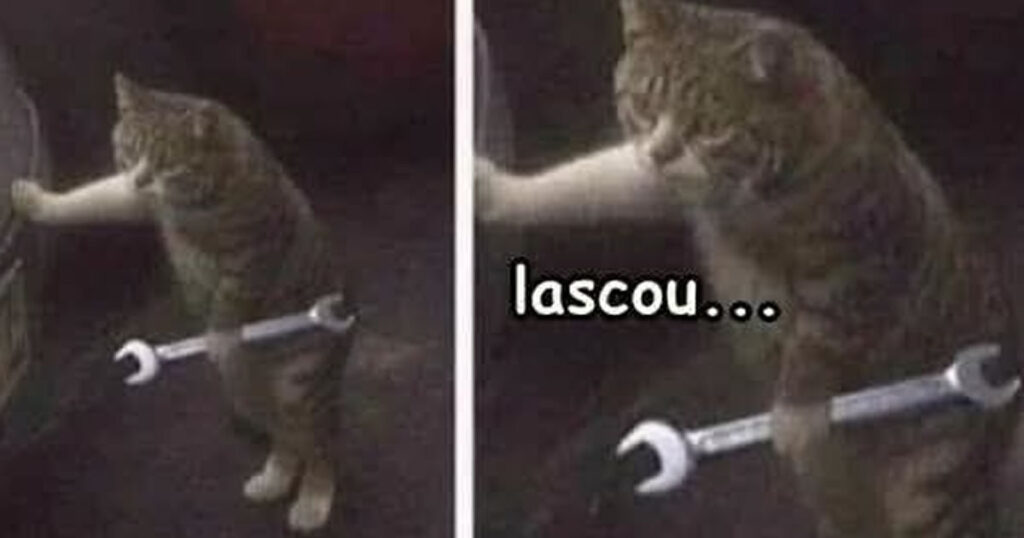 Oficina Felina: quando o conserto vai, mas as peças… sumem!