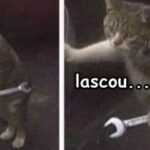 Oficina Felina: quando o conserto vai, mas as peças… sumem!