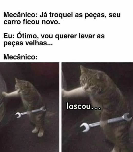 Oficina Felina: quando o conserto vai, mas as peças… sumem!
