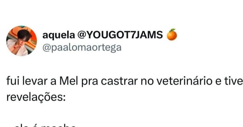 Quando a Mel vira o Melvin em três simples revelações