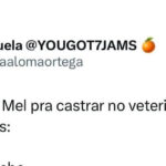 Quando a Mel vira o Melvin em três simples revelações