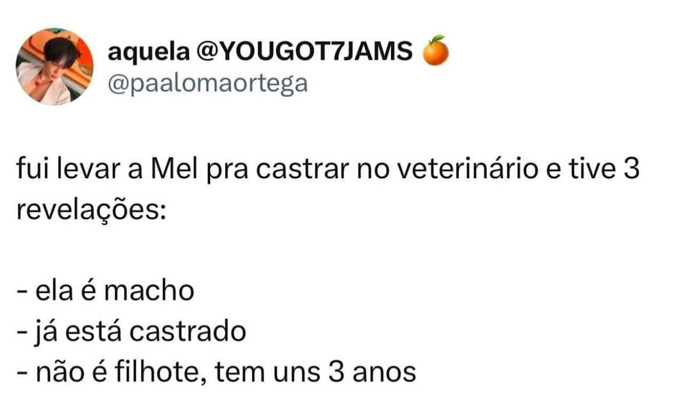 Quando a Mel vira o Melvin em três simples revelações Quando a Mel vira o Melvin em três simples revelações