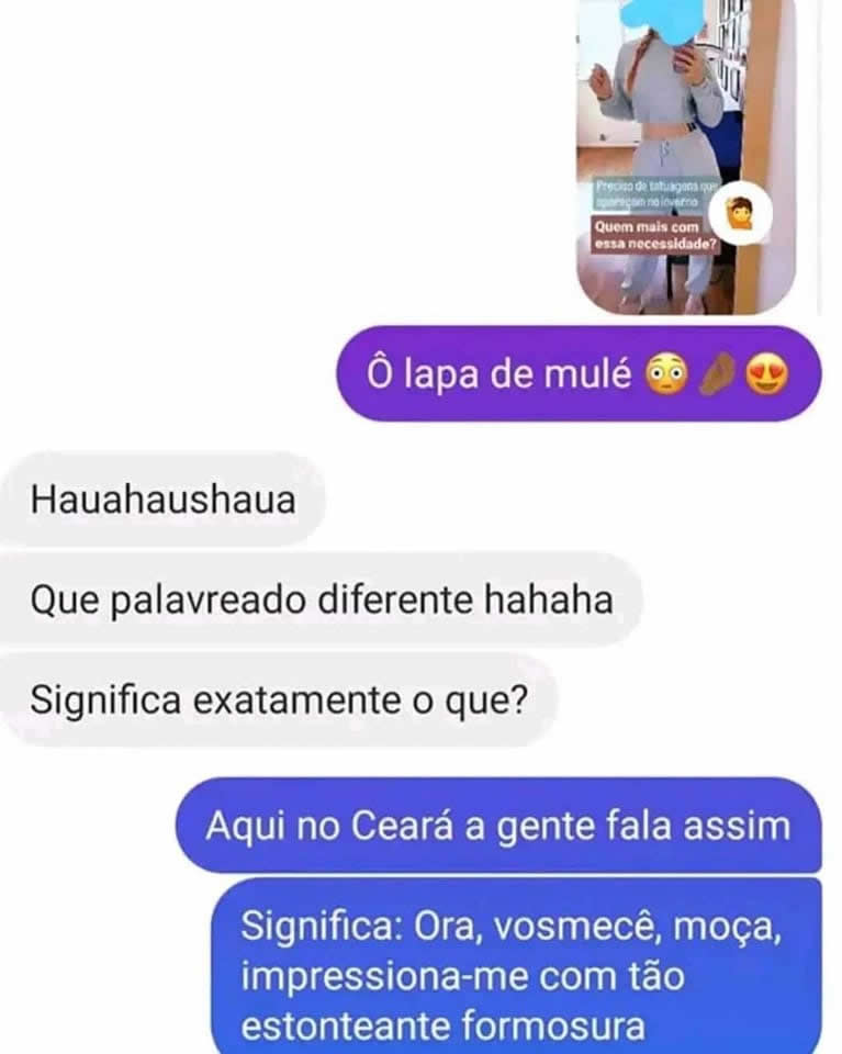 Tradução simultânea do cearense: do ô lapa de mulé ao português arcaico
