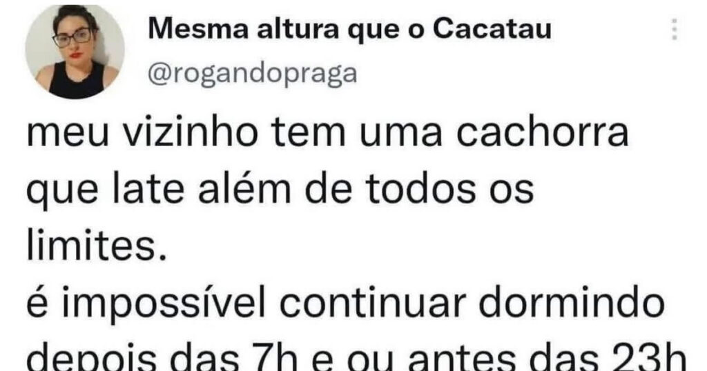 Justiça canina reversa: Quando o vizinho late de volta