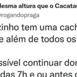 Justiça canina reversa: Quando o vizinho late de volta