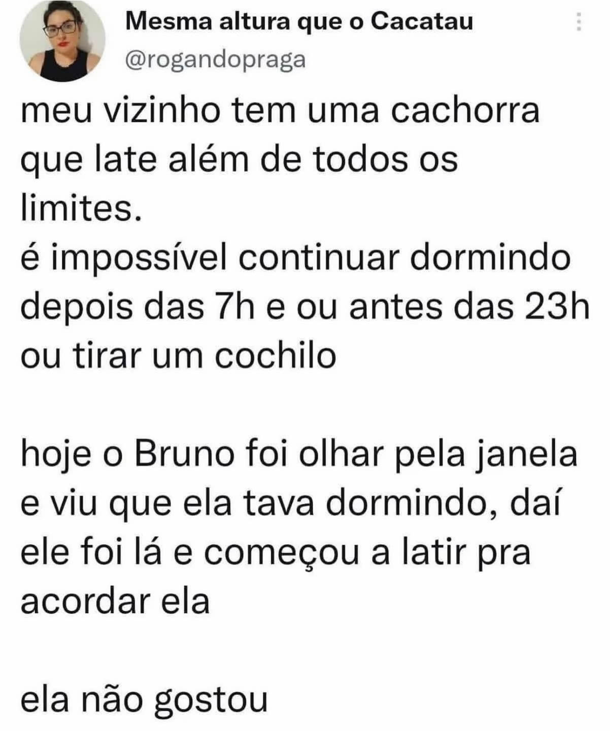 Justiça canina reversa: Quando o vizinho late de volta Justiça canina reversa: Quando o vizinho late de volta