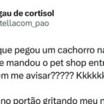 Quando seu pai vira Uber de cachorro alheio