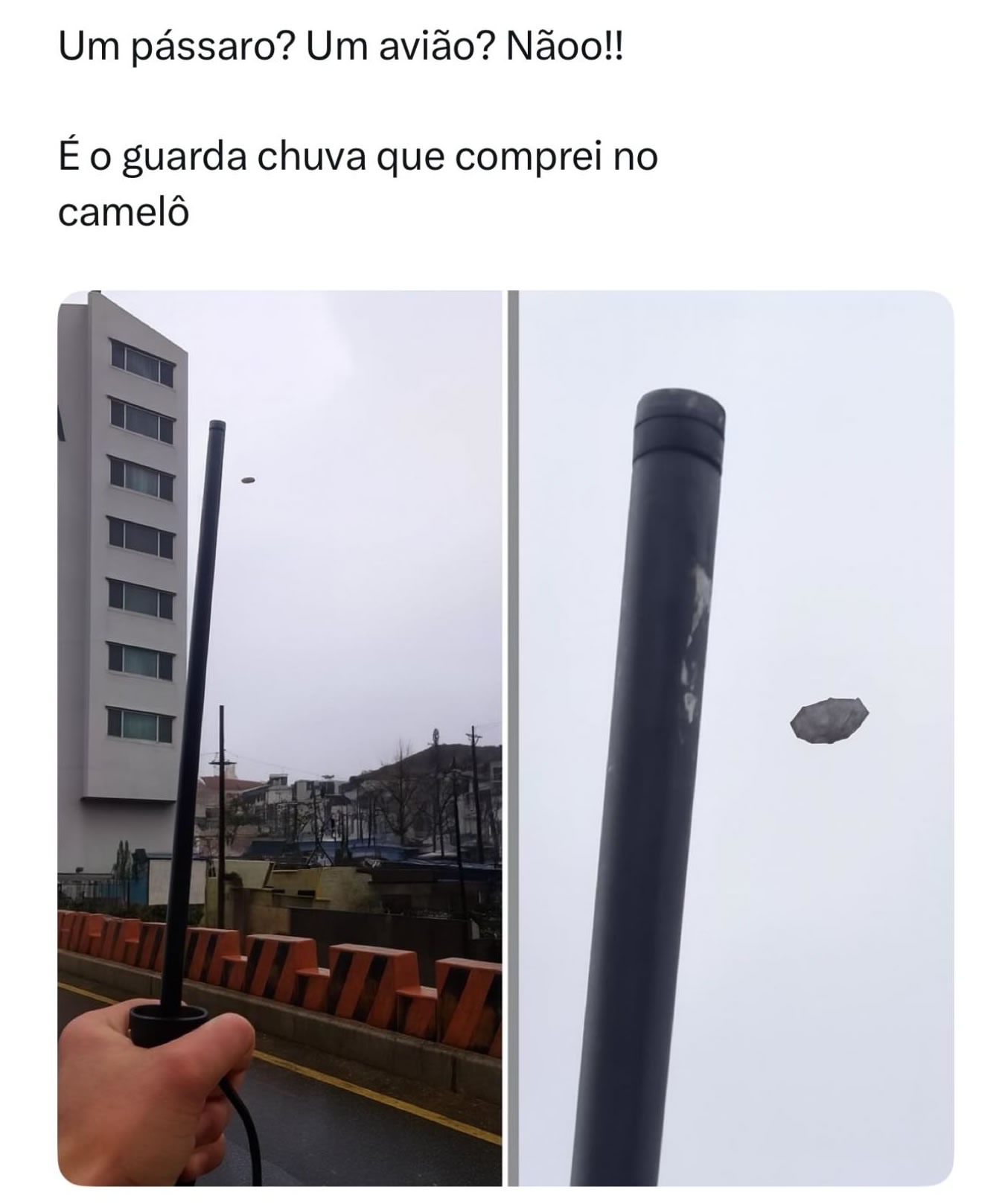 O dia em que meu guarda-chuva pediu demissão em pleno voo