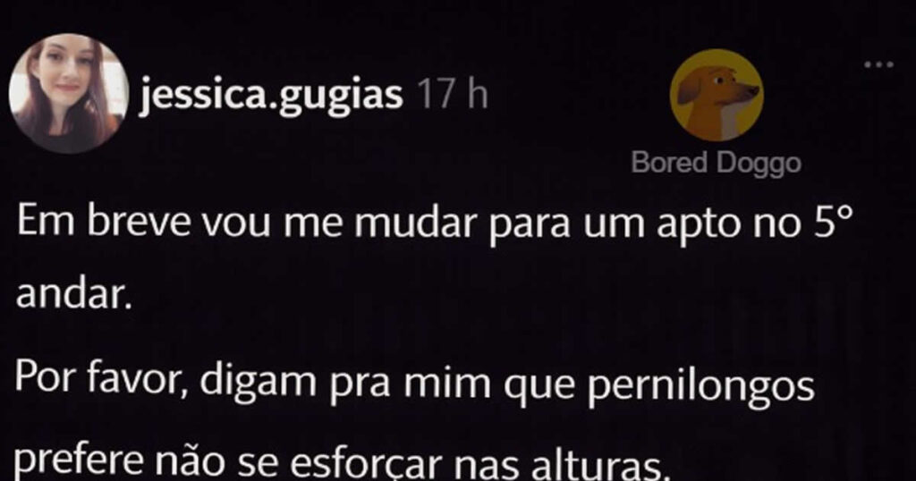 O quinto andar que prometia paz e entregou morcegos