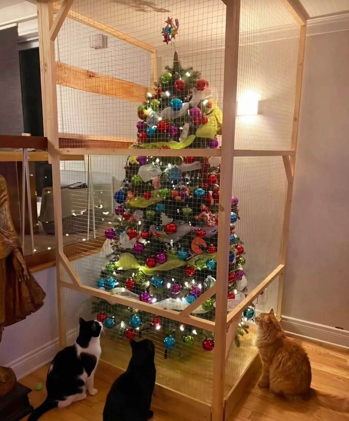 Operação Natal blindado. O dia em que a árvore virou refém dos gatos Operação Natal blindado. O dia em que a árvore virou refém dos gatos